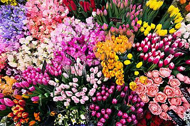 《死亡空间：重制版》首个实机预告今晚11点发布